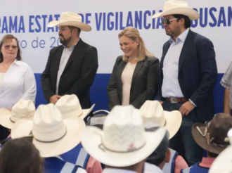 Combate al Pejegusano